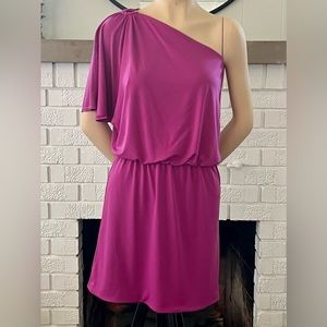 WHBM One Shoulder Mini Dress NWT Berry